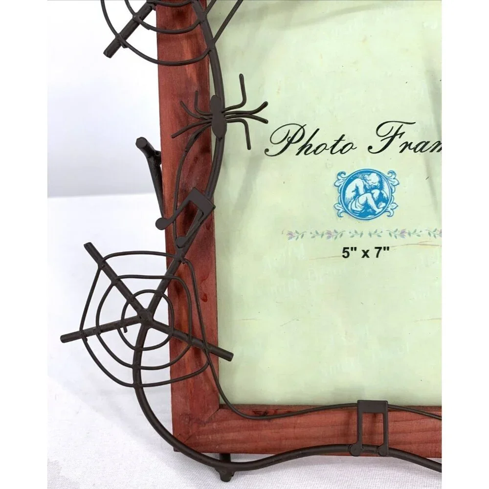 Spiders Spideweb Picture Frame 5 x 7